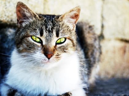 Костромичей в этот уик-энд ждёт теплая и солнечная погода