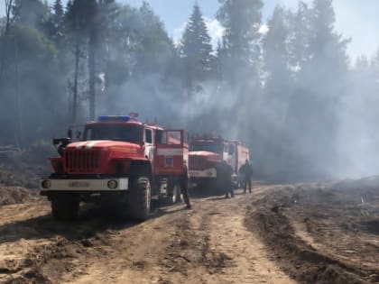 В Костромской области тушат лесной пожар