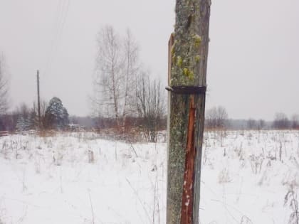 В Костромской области депутат ЛДПР взяла на контроль еще одну жалобу о состоянии электроопор
