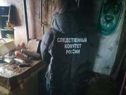 В Костроме следователи проводят проверку по факту пожара, в результате которого погиб мужчина