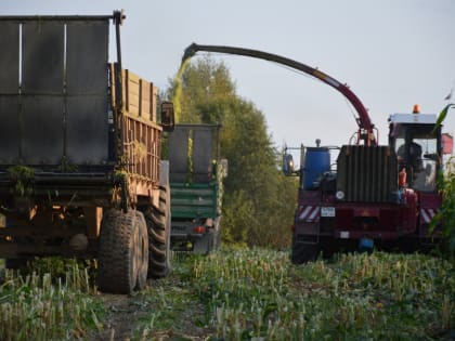 АГРАРИИ БЬЮТ СВОИ ЖЕ РЕКОРДЫ