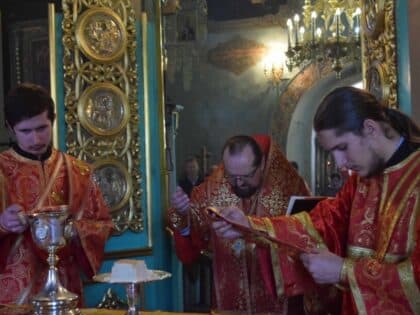 Архиерейское богослужение в Неделю 6-ю по Пасхе, о слепом