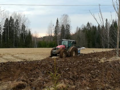Весенние сельхозработы в хозяйствах Октябрьского района продолжаются