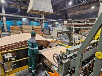 Увеличиваются объёмы производства фанеры