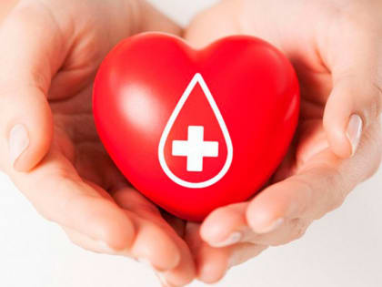 Подписан закон о присвоении Почетным донорам звания «Ветеран труда»