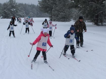 Все на лыжню: В Макарьеве прошла 41-ая массовая лыжная гонка «Лыжня России-2023»