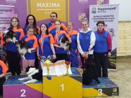 Костромич победил на Кубке России по кинологическому спорту
