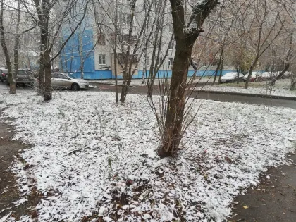 Неустойчивая погода ожидает Кострому на следующей неделе