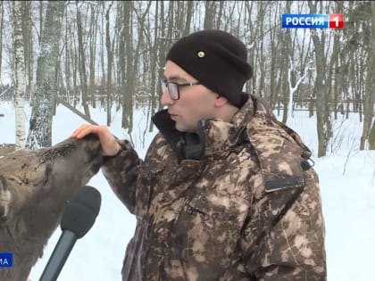 У лосенка - железные ноги, а у ветврачей - золотые руки и сердце!