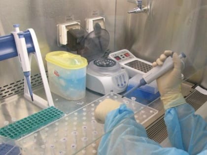 В костромском городе Галиче и его окрестностях сняли карантин по гриппу птиц