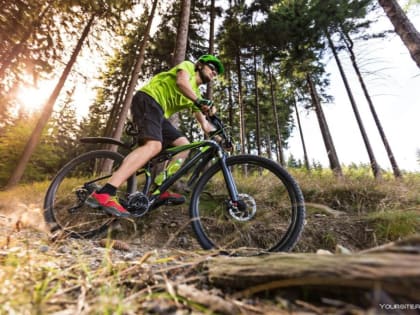 В Костромскую область приедут велосипедисты со всей России