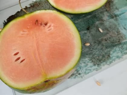 Степановские дыни, арбузы и картофель в мешке