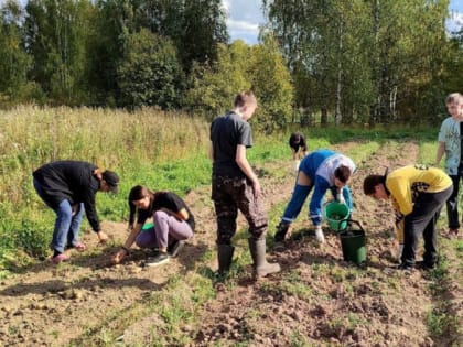 В дружной компании любая работа по плечу