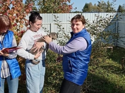 Вакцинация животных всегда актуальна