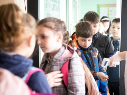 В костромских школах и садиках усилят входные фильтры