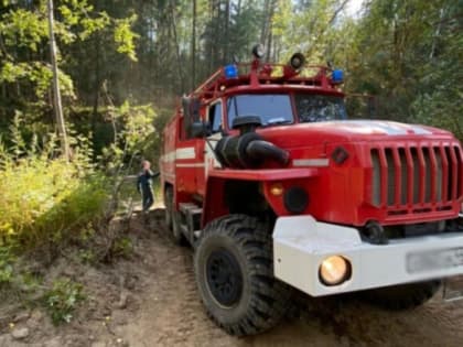 Глава региона подписал постановление об отмене пожароопасного сезона на территории Костромской области