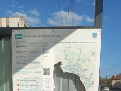 Костромичи уничтожили расписание общественного транспорта на остановке