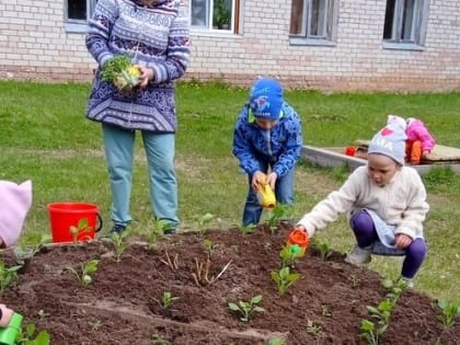 Котельниковские дошколята посадили цветы