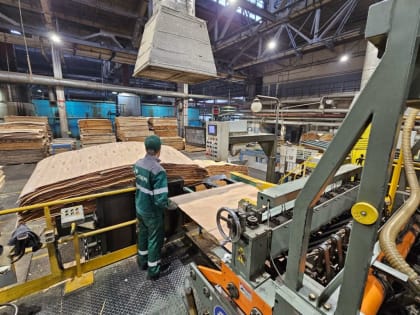 Костромская фанера разлетается по миру