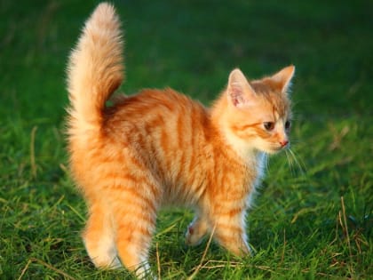 Этот уик-энд в Костроме будет солнечным и теплым