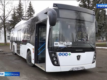 Для костромских болельщиков «Спартака» добавят рейс в воскресенье