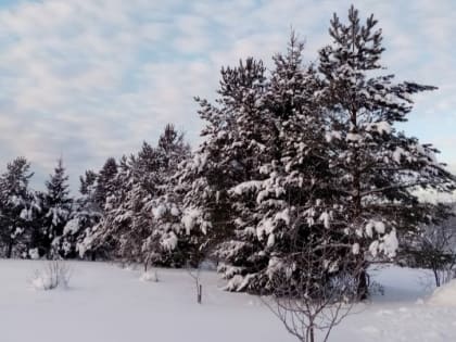 -35: морозы идут на Костромскую область