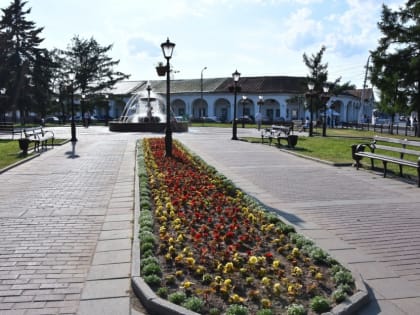 На цветочное оформление Костромы этим летом потратили 1 млн рублей Избранное
