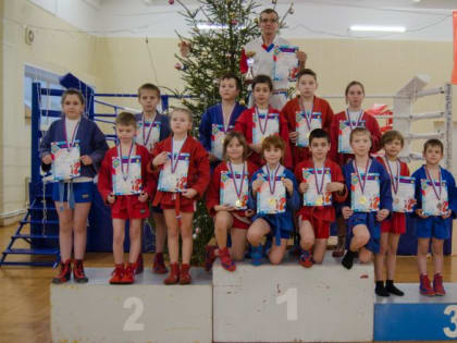 Самбисты сумели показать себя