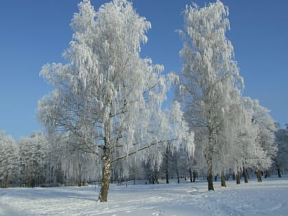 В Костромской области температура воздуха опустится на 7-12° ниже климатической нормы