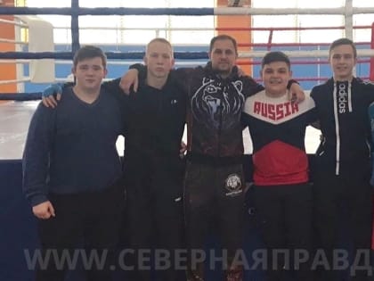 Костромич взял бронзу Первенства ЦФО по боксу среди юниоров