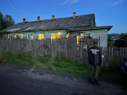 Жестокое убийство в Нее: 18-летний парень до смерти забил 60-летнего знакомого