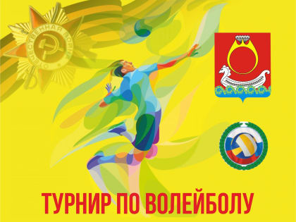 Волейбольный турнир в честь Дня защитника Отечества