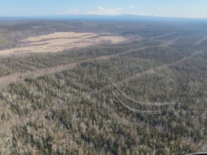 Костромские леса патрулируют с воздуха