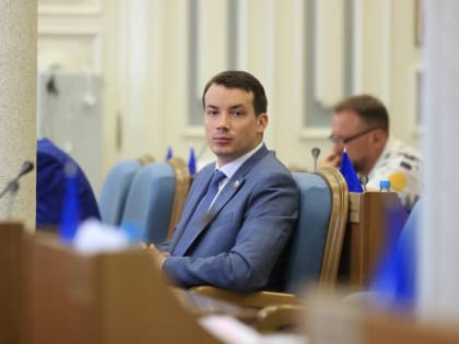 ЛДПР добивается увеличения пособия по уходу за ребенком