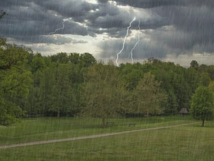 В Костромской области ожидается усиление ветра при грозе до 17 метров в секунду