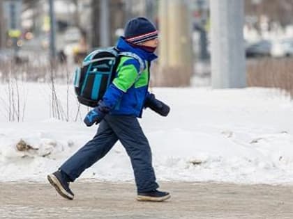 В Костромском регионе при температуре воздуха ниже -25°-27° вводится свободное посещение занятий