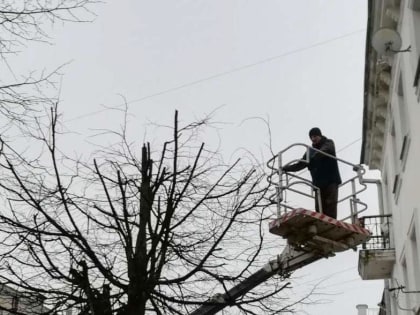 В Костроме ликвидировали более 200 аварийных деревьев