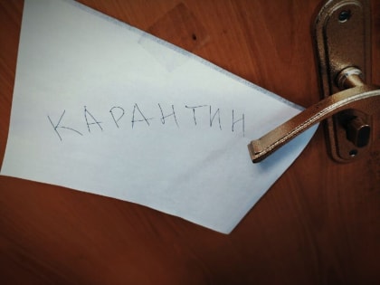Карантин для школьников и детей в садиках Костромской области