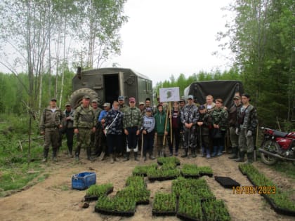 Школьное лесничество может стать шагом в будущую профессию