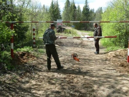 В Костромской области введен особый противопожарный режим