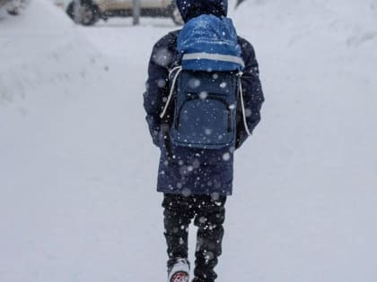 При температуре воздуха ниже -25°-27° вводится свободное посещение занятий  