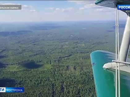 Авиапатруль в деле: за костромскими лесами начали пристально следить с воздуха