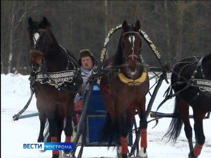 Рысью и галопом к победе: Кострома готовится принять  «Чемпионат русских троек»