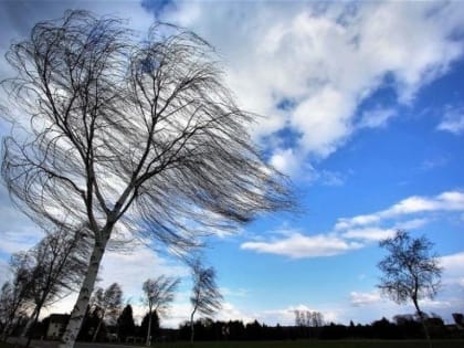 Жителей Костромы предупреждают о приближении грозы