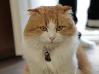 Синоптики обещают костромичам теплую и солнечную погоду