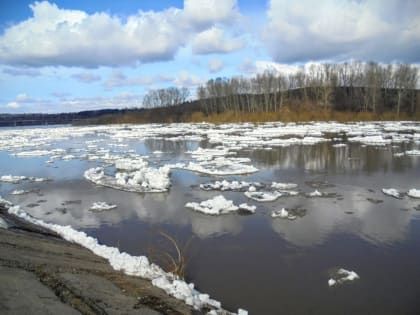 Паводок может принести в Костромскую область опасные болезни