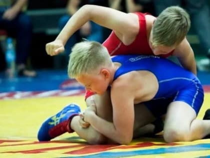 Завтра в Костроме пройдут соревнования по вольной борьбе