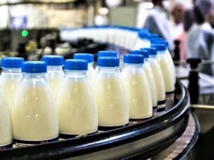 Увеличились объёмы производства молока