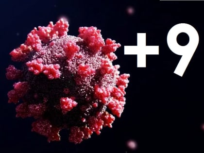 Коронавирус за сутки в Костромской области диагностирован у 9 человек