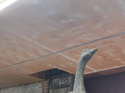 В Кологриве появится двухметровый гусь-красавец